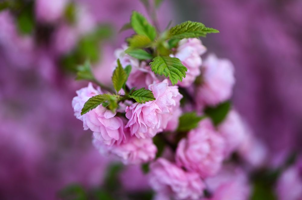 Photograph by Юлия Ковальчук