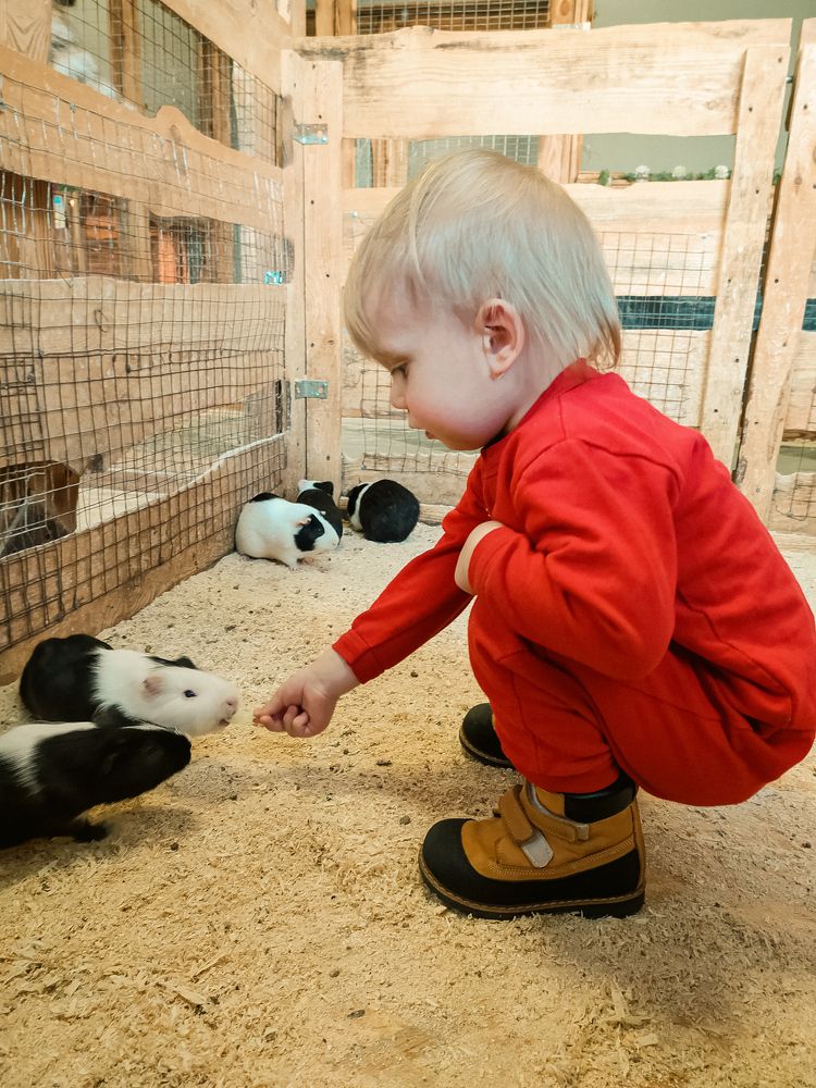 Photograph by Людмила Емельянчикова