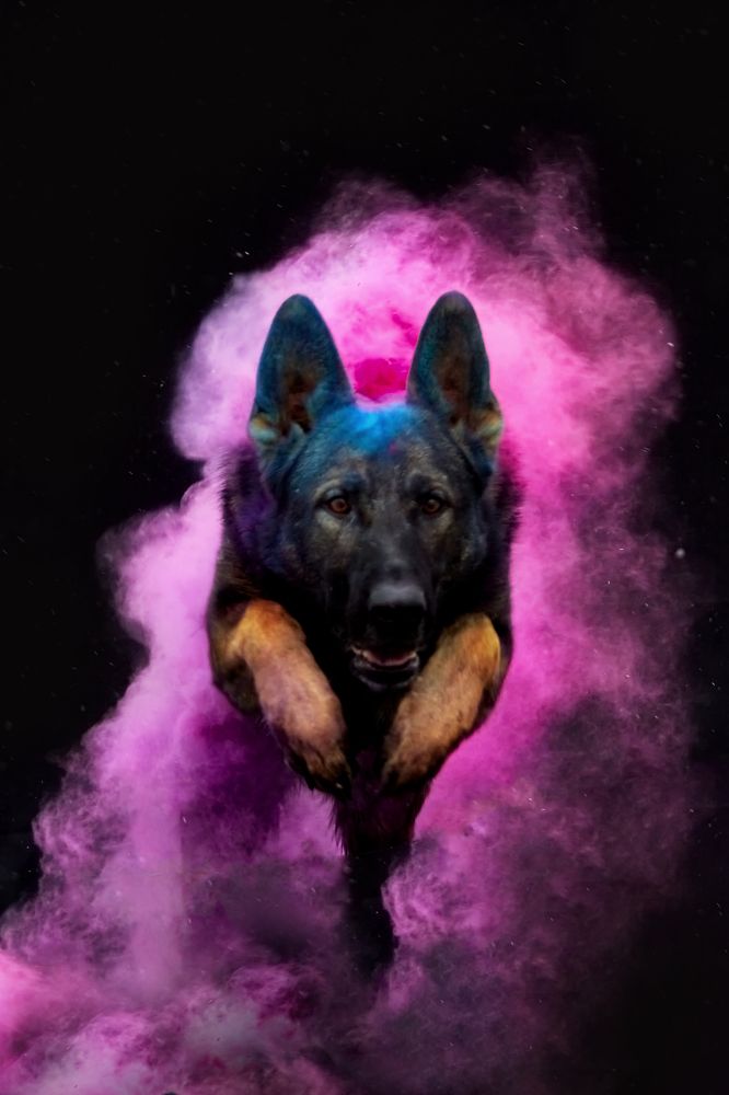 Photograph by Natalya Gracheva