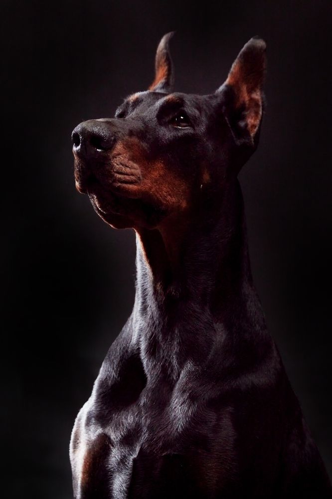 Photograph by Natalya Gracheva