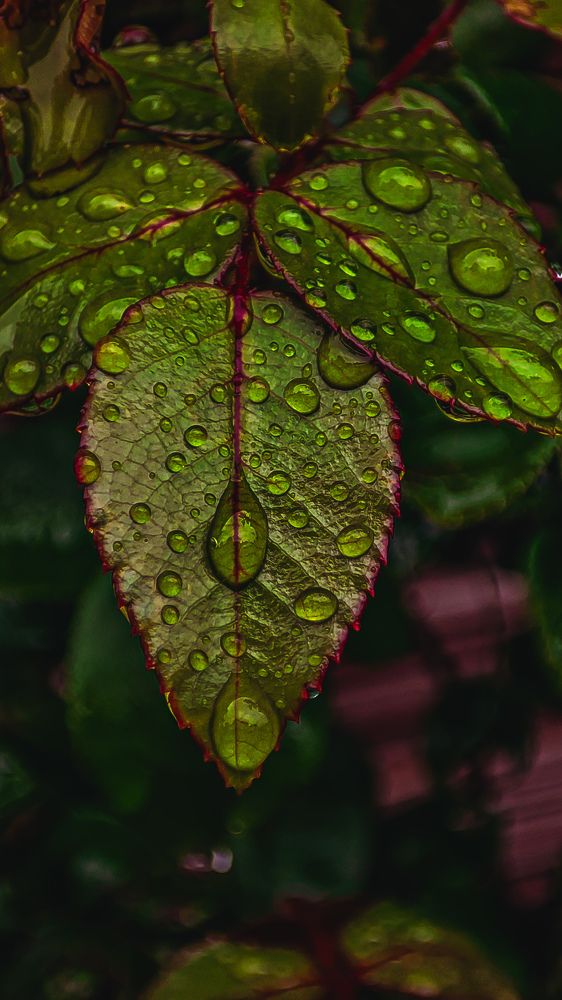 Photograph by Екатерина Никитина