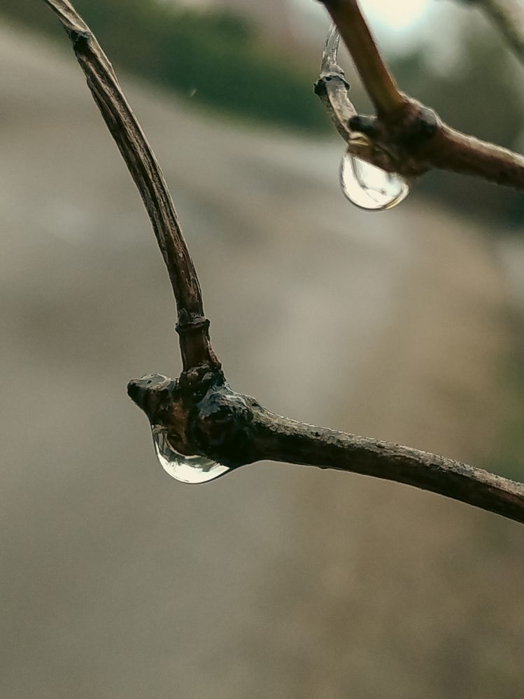 Photograph by Людмила Емельянчикова