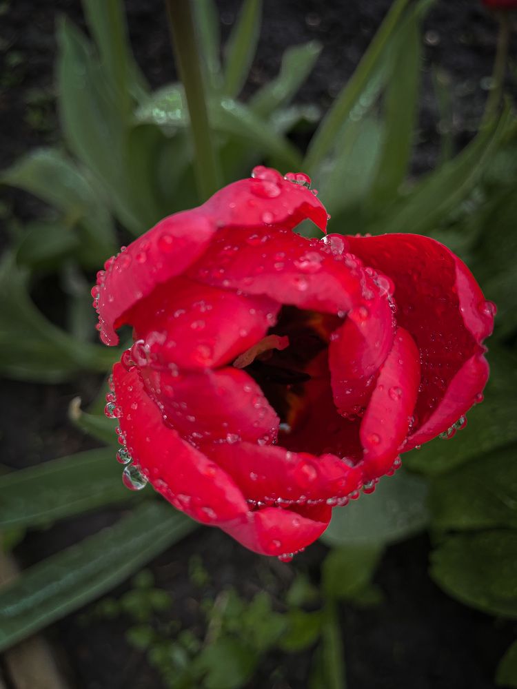 Photograph by Олеся Лагутина