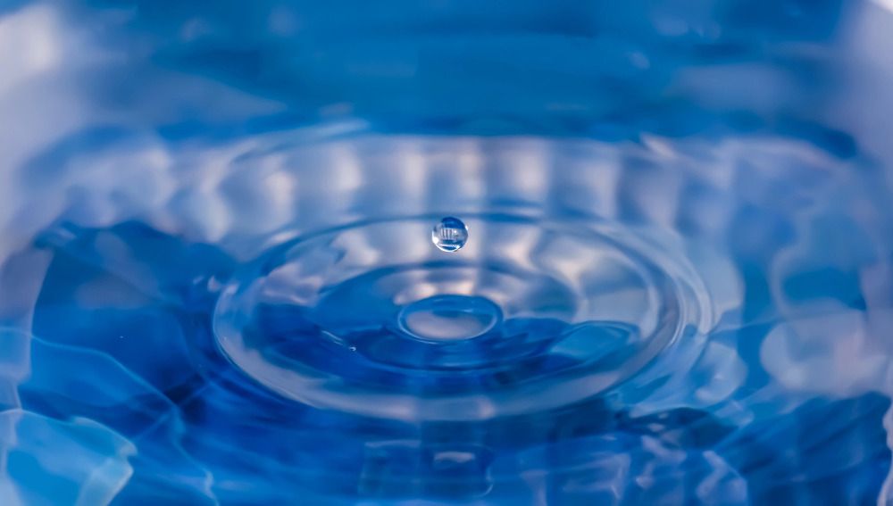 Photograph by Елизавета Нефедова