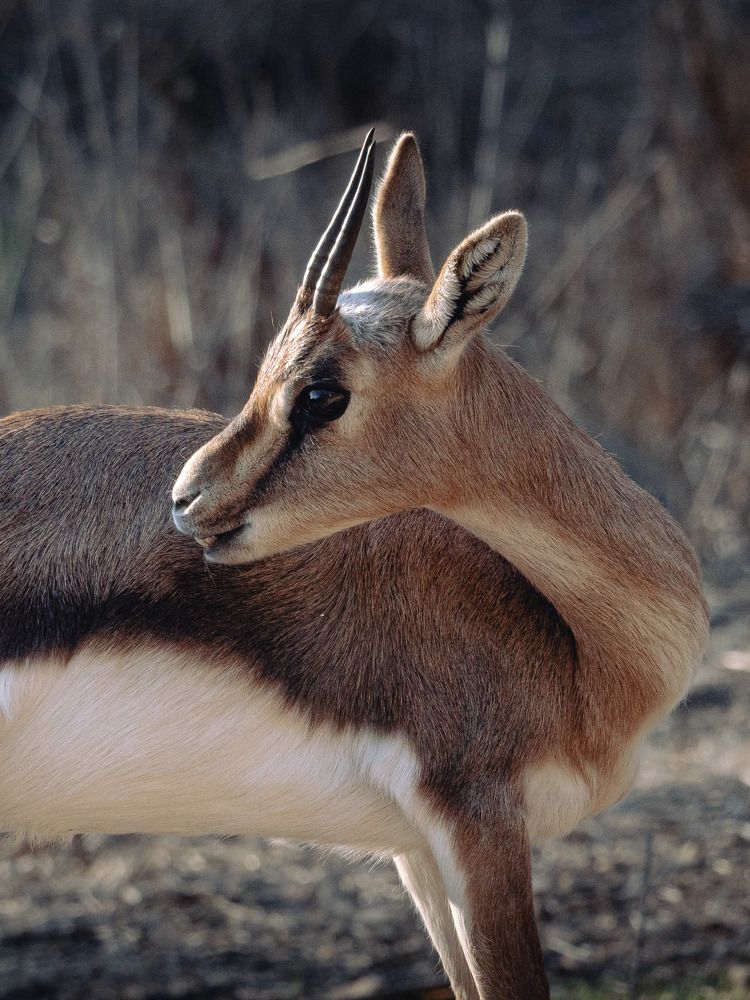 Photograph by Katherine Erlich