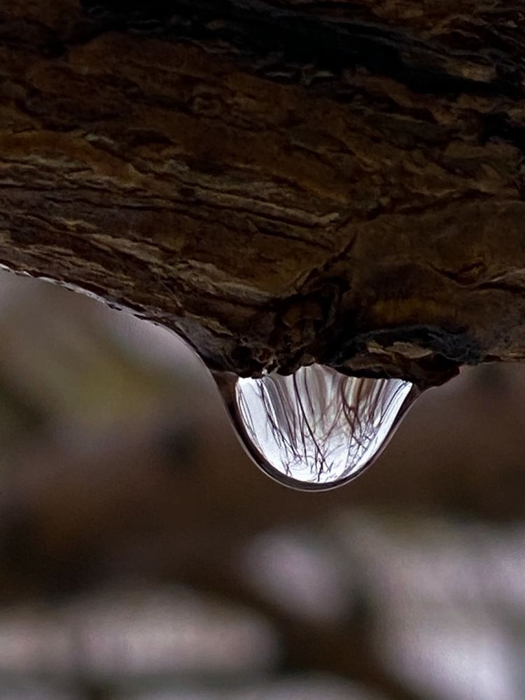 Photograph by Ольга Скиба