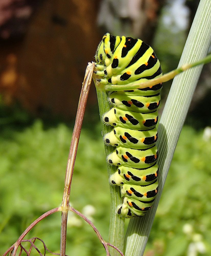 Photograph by Евгений Гонтов
