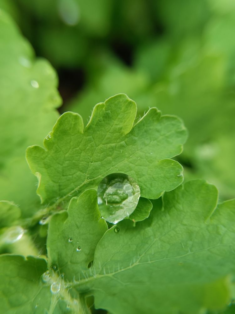 Photograph by Екатерина Одинцова