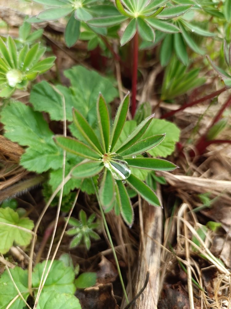 Photograph by Екатерина Одинцова