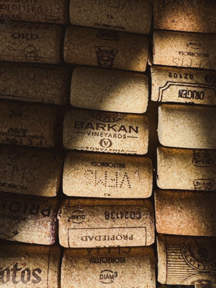 Photograph by Julia Smilovitsky