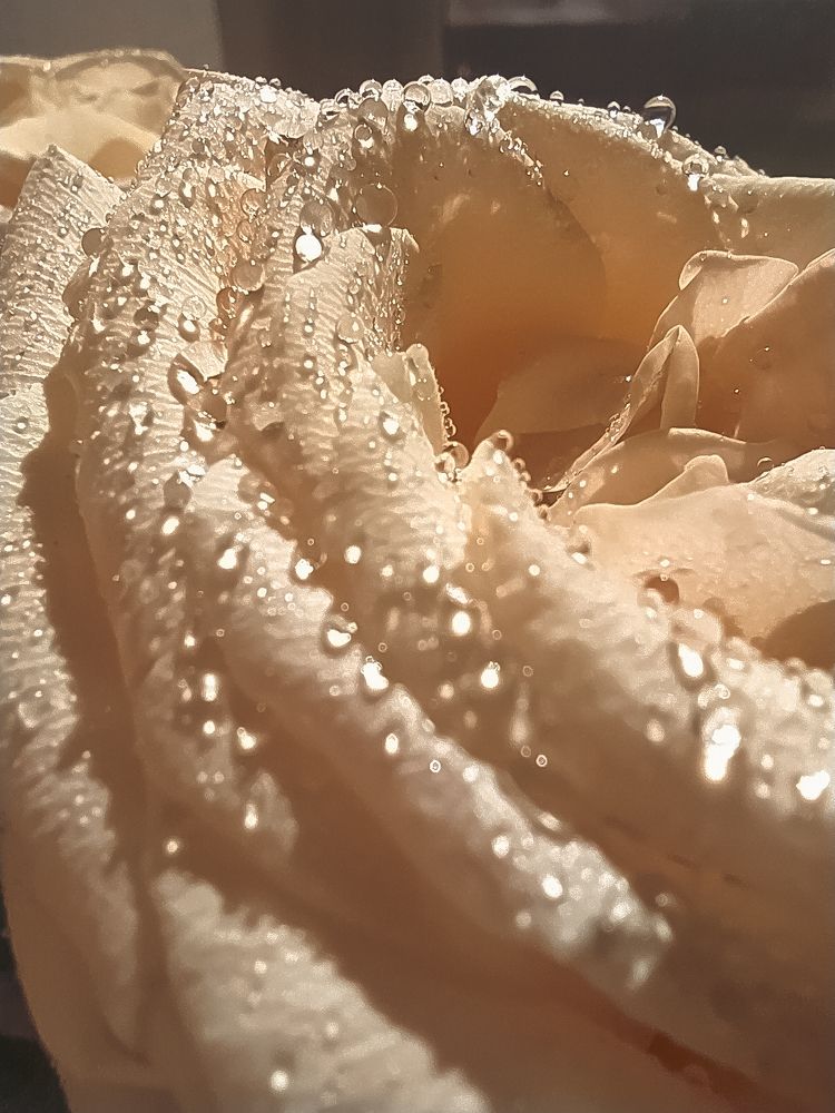 Photograph by Людмила Емельянчикова