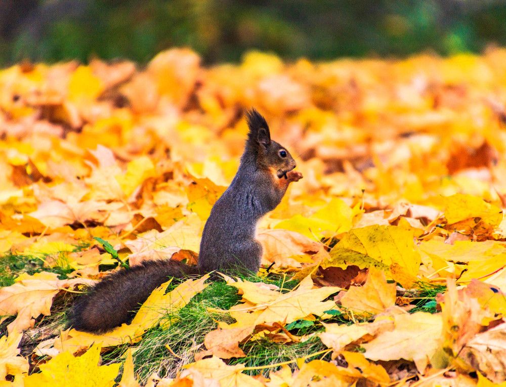 Photograph by Павел Лаврухин