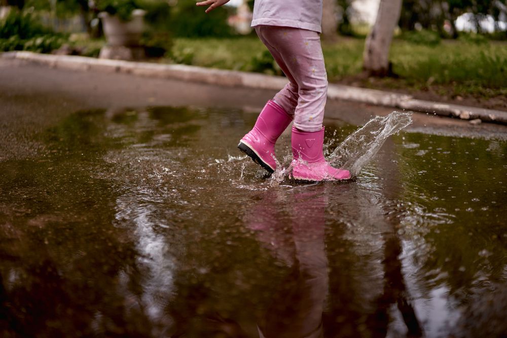 Photograph by Лидия Баженова