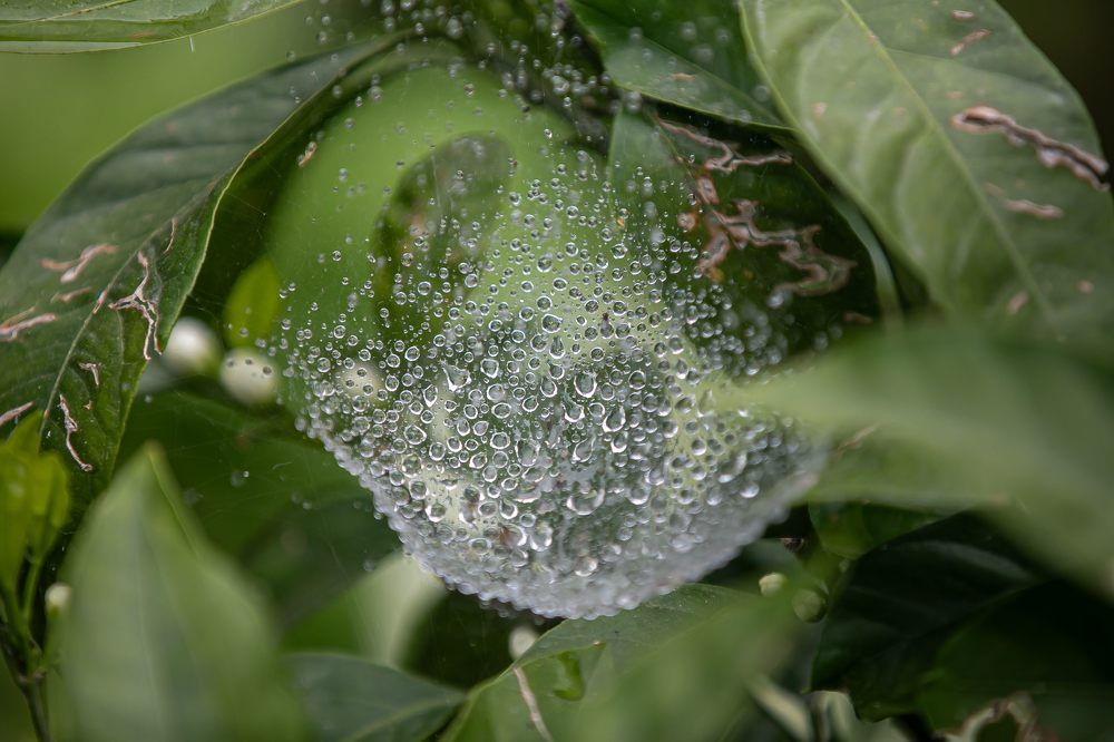 Photograph by Очева Наталья Александровна