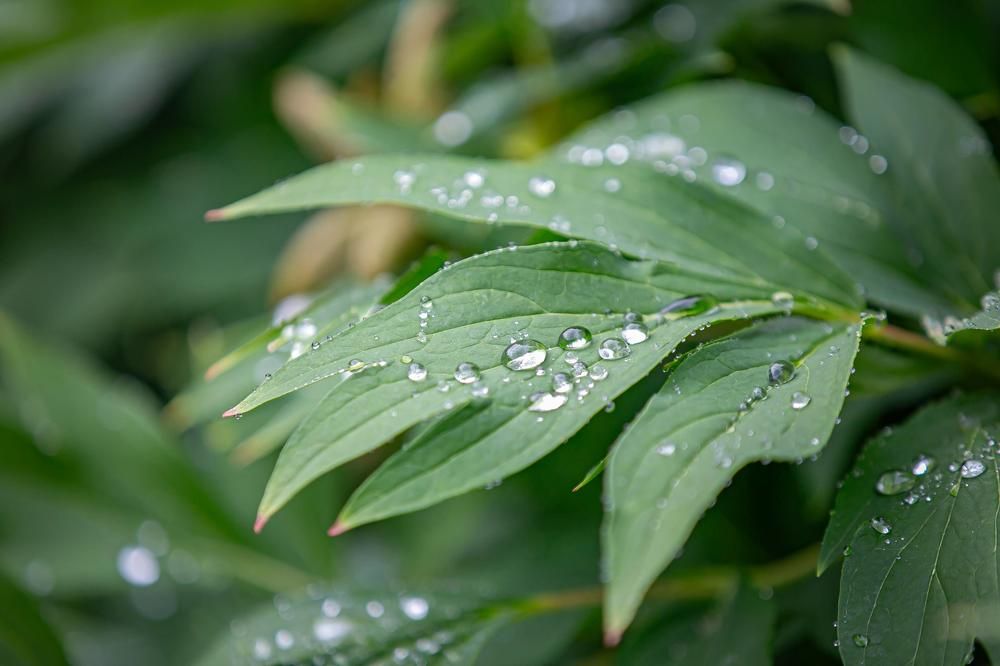 Photograph by Очева Наталья Александровна
