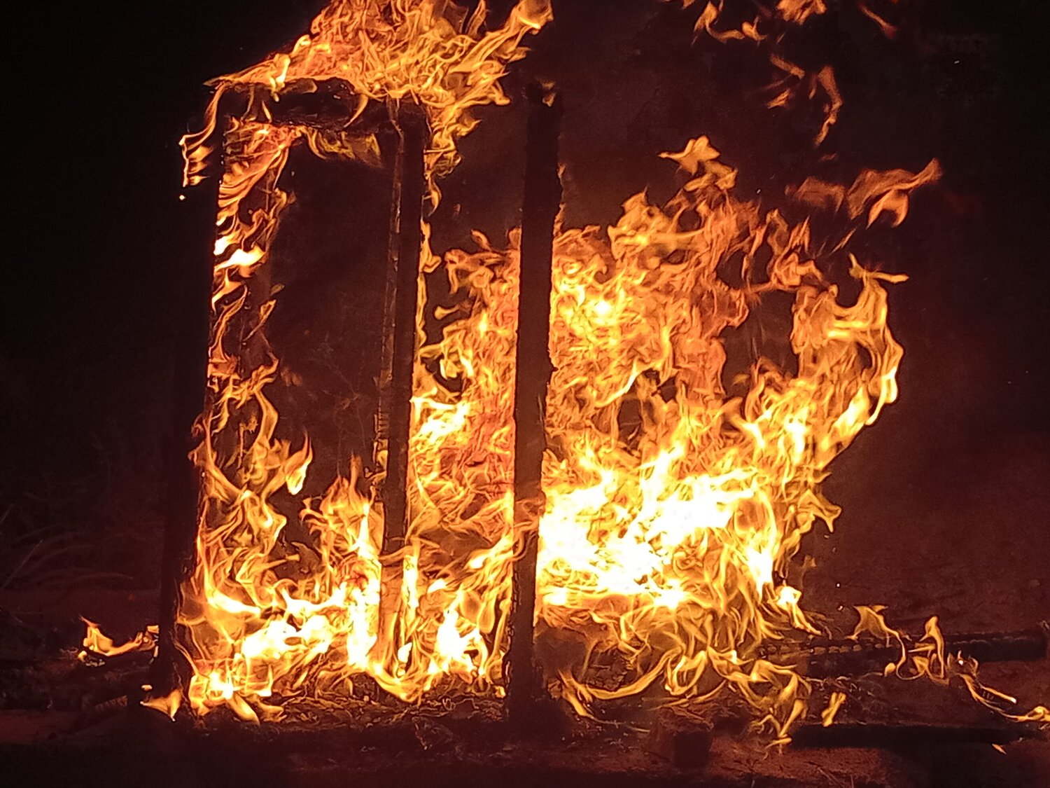 Photo #11458327