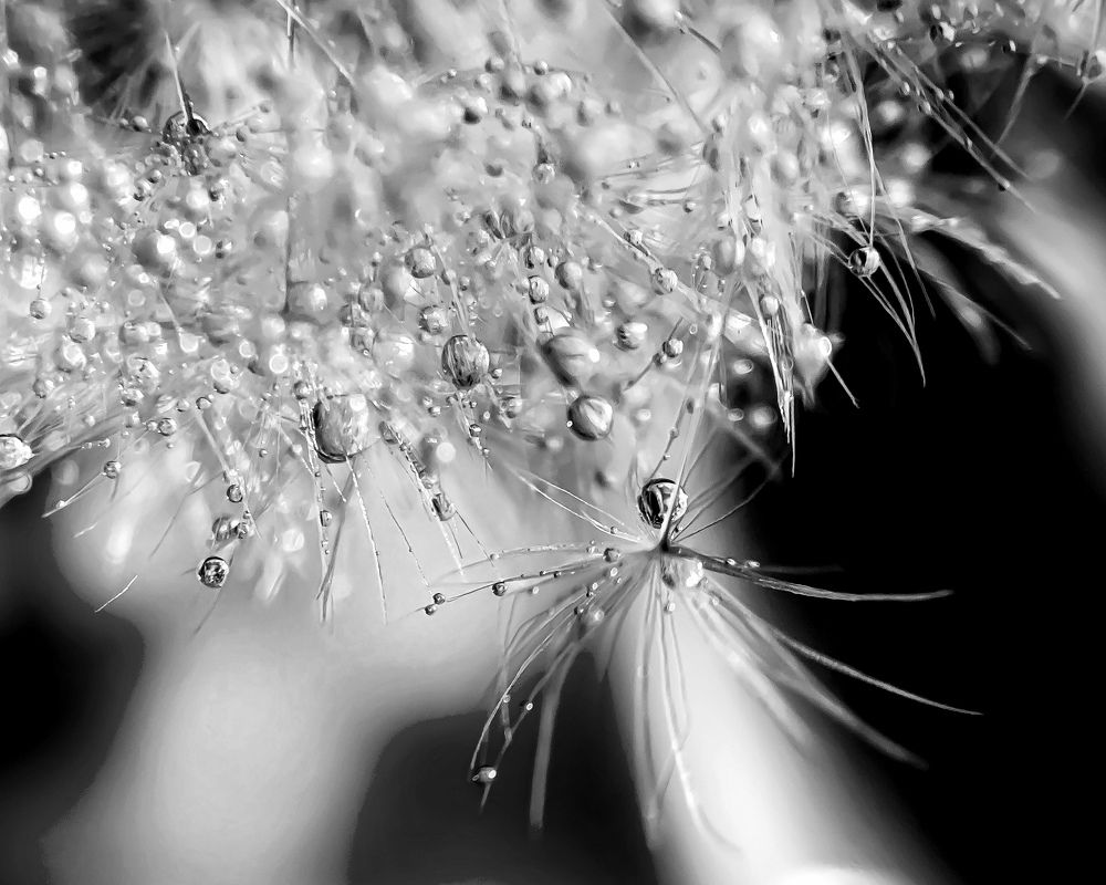 Photograph by Anastasia Astakhova