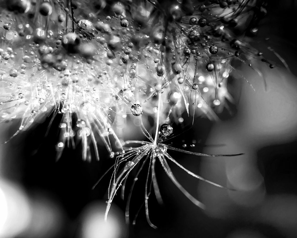 Photograph by Anastasia Astakhova