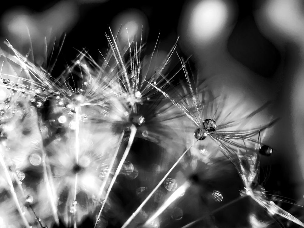 Photograph by Anastasia Astakhova