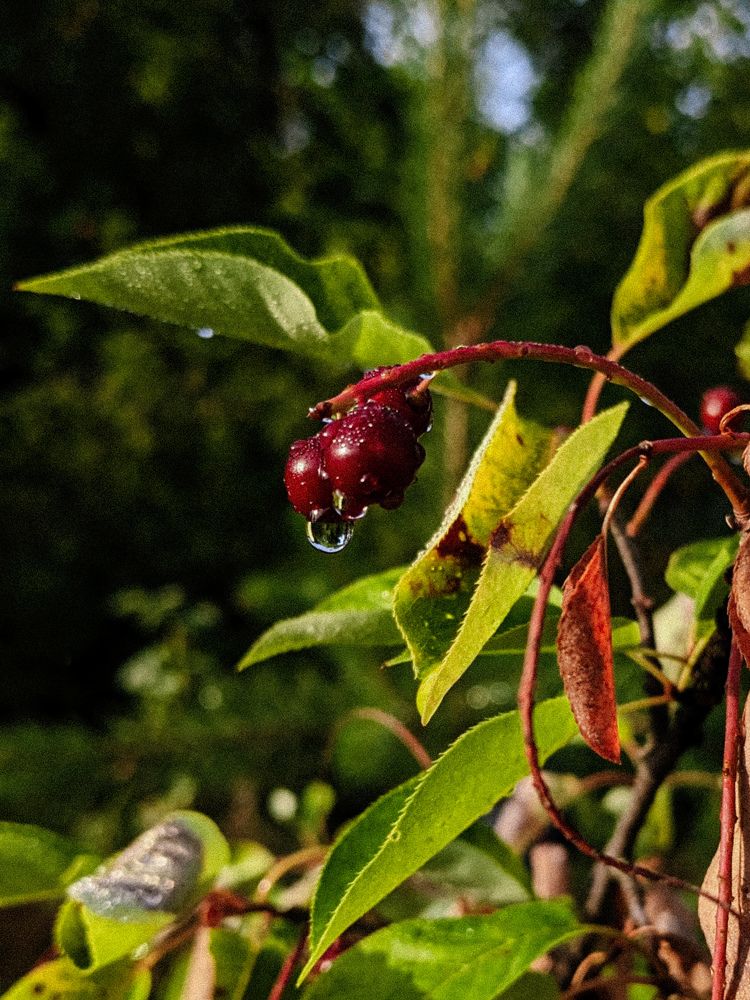 Photograph by Анна