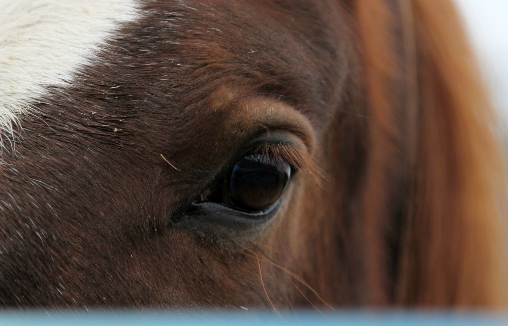 Photograph by София Лаврентьева