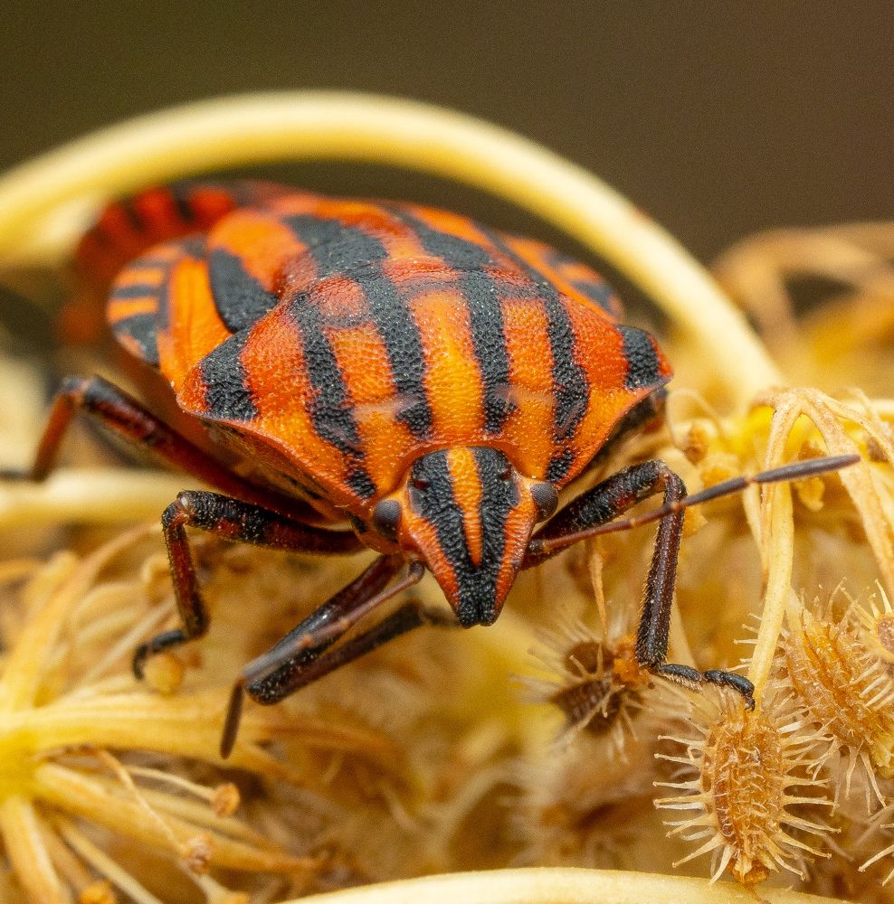 Фотография автора Sercan Özyurt