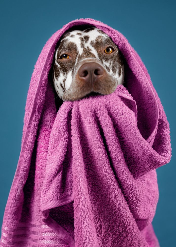 Photograph by Яна Нарбутович