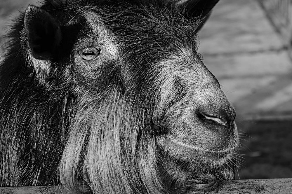 Photograph by Евгений Козлов