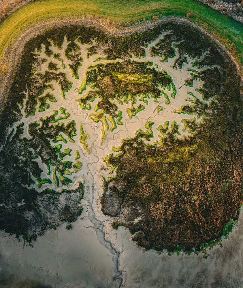 Photograph by Alina Yantsen