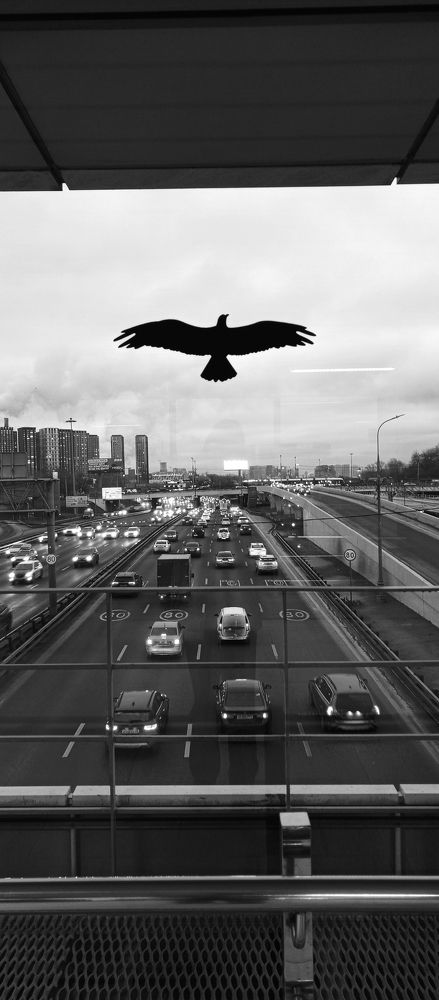 Состояние полëта