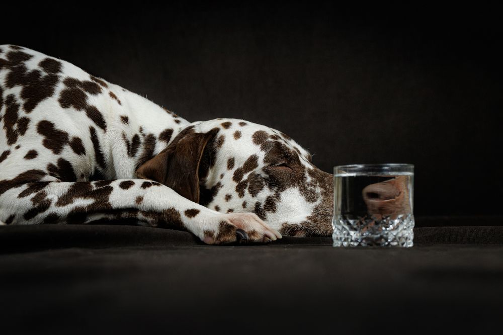 Photograph by Яна Нарбутович