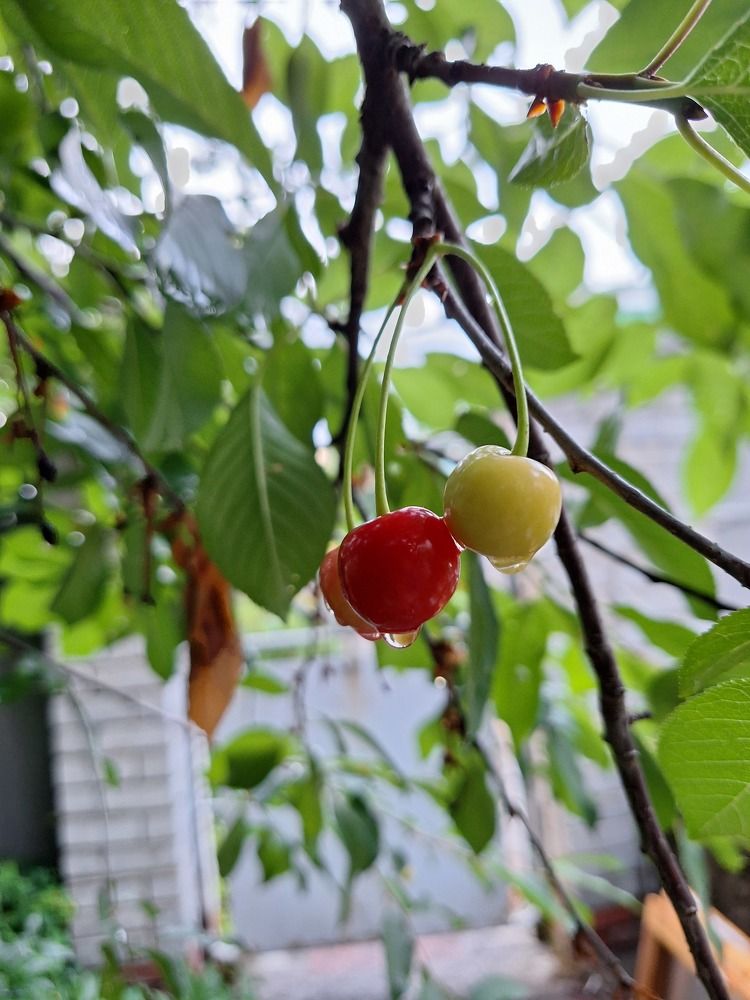 Photograph by София Лаврентьева