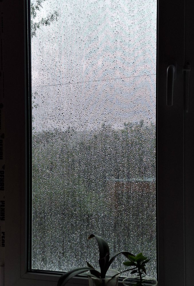 Photograph by София Лаврентьева