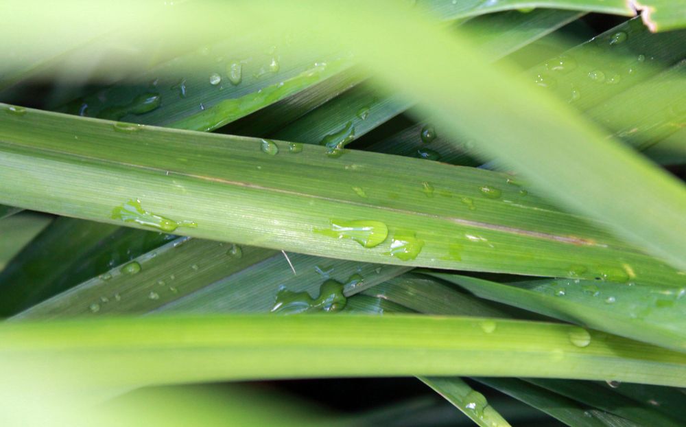 Photograph by София Лаврентьева