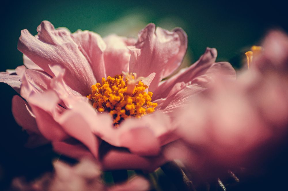 Photograph by Алексей Егоров