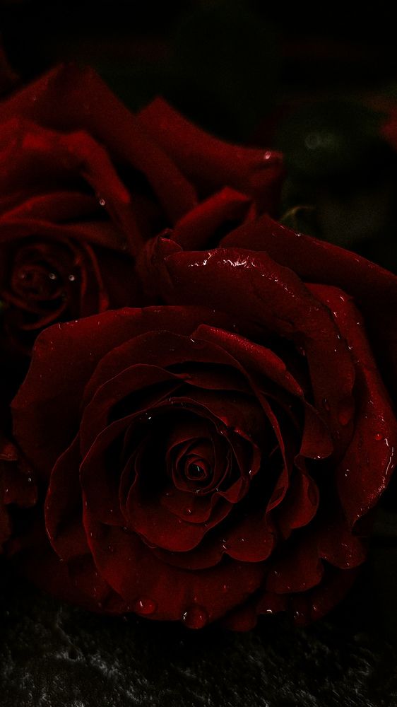 Photograph by Maria Stankevich