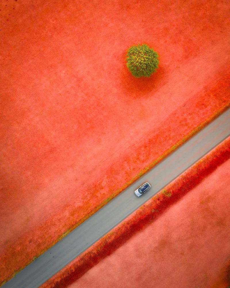 Photograph by Alina Yantsen