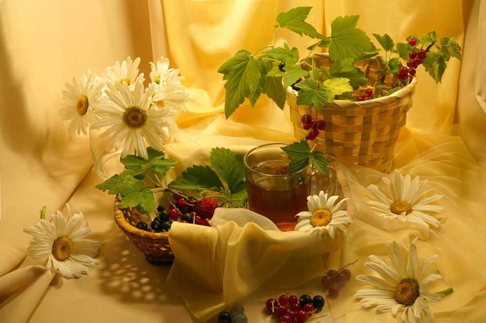 Photograph by Tatiana Glazkova