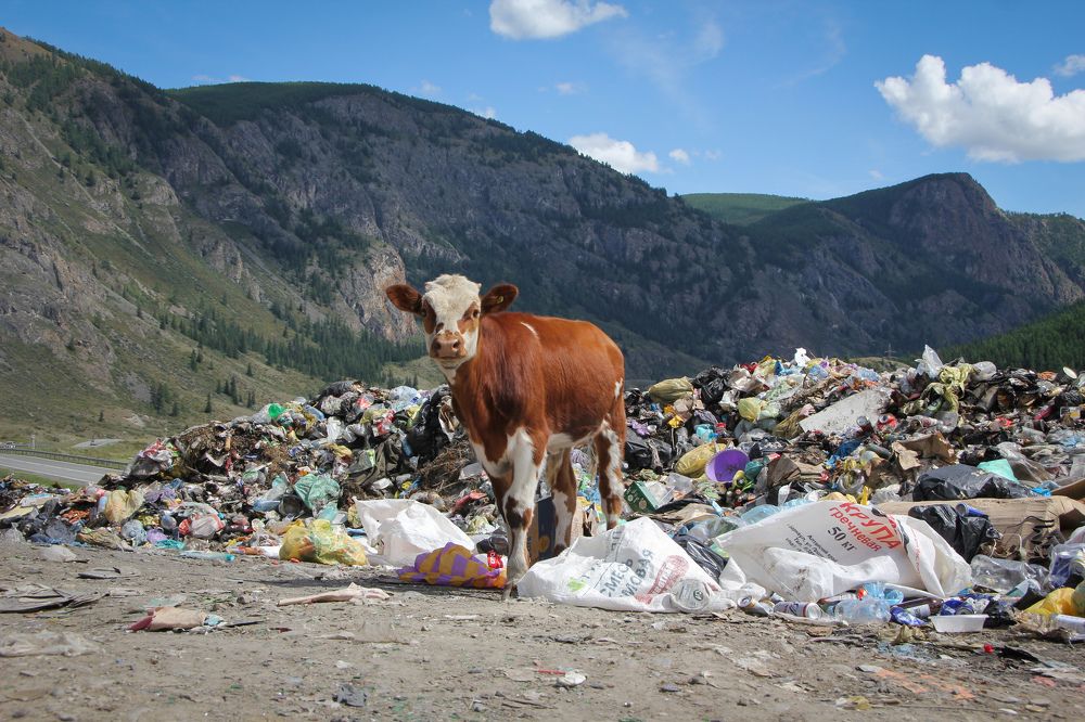 Photograph by Александр Мамойлов