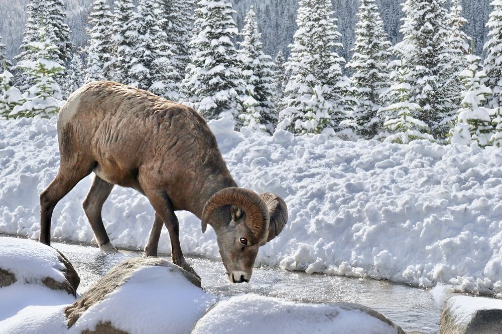 Photograph by Marina Poushkina