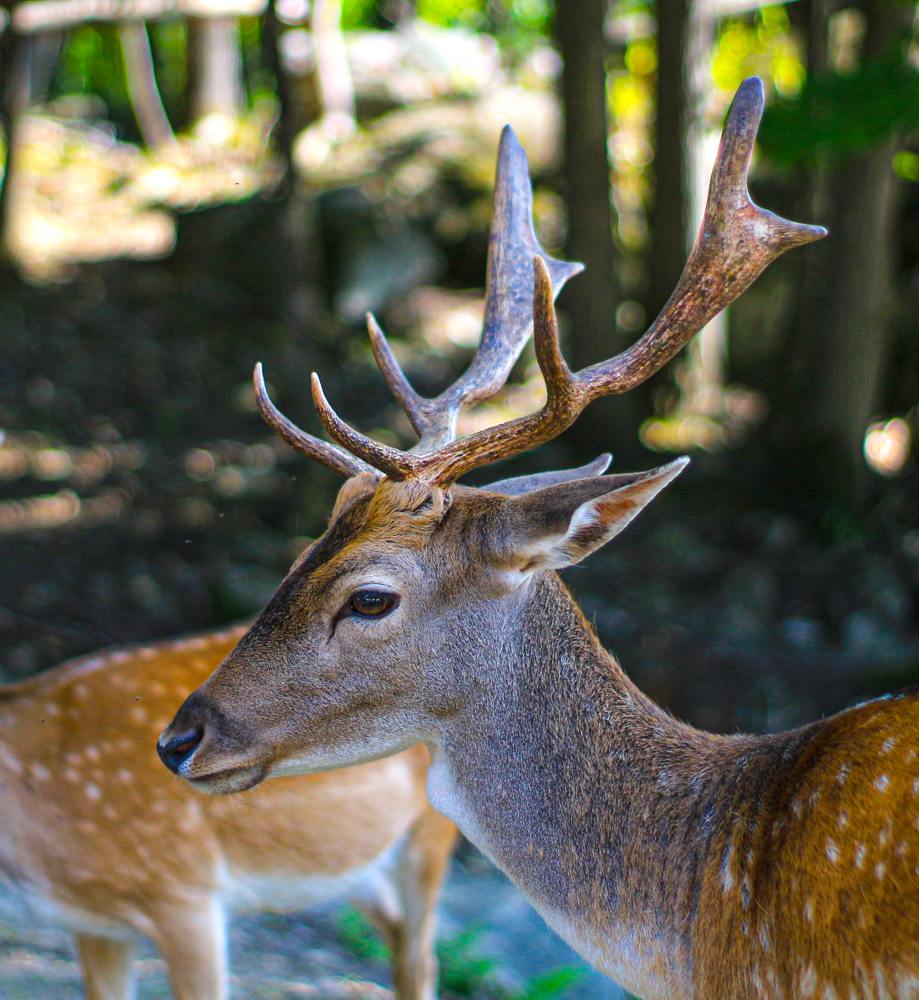 Photograph by Manan Raval