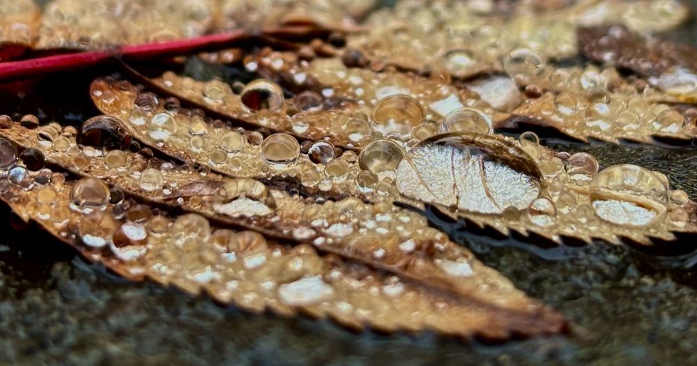 Photograph by Елизавета Нефедова