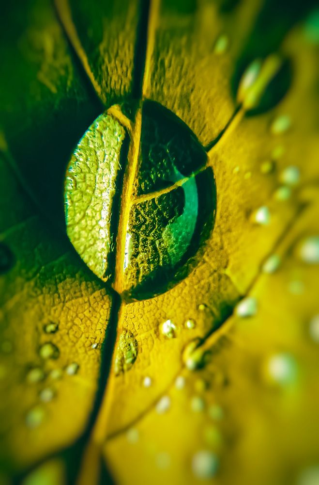 Photograph by Наталья Лищинская