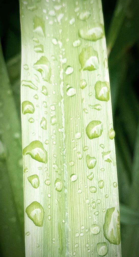 Photograph by Mishel Photographer