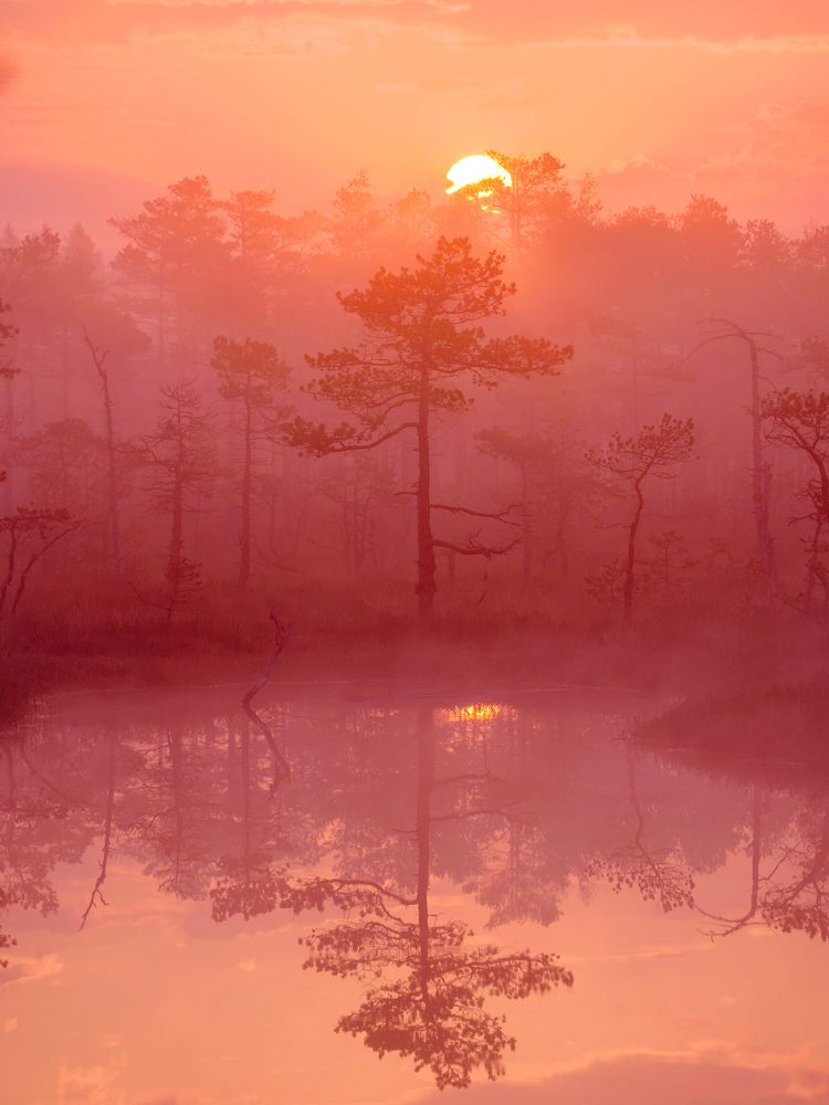 Photograph by Andrew Kuprin