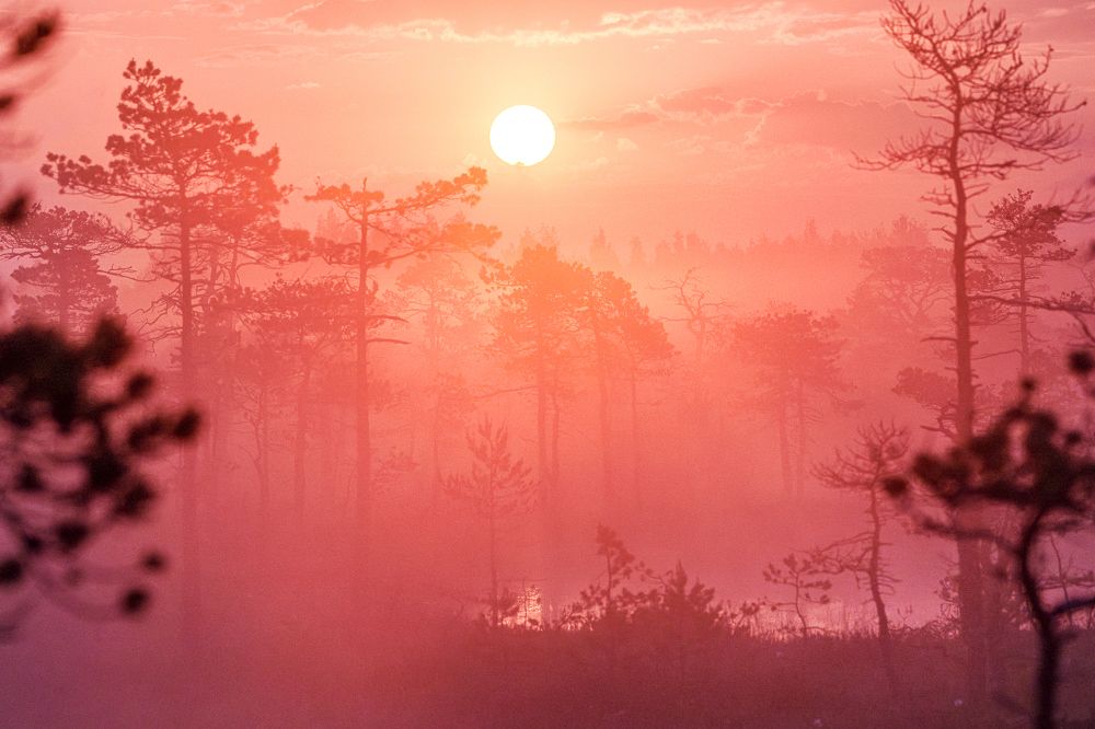 Photograph by Andrew Kuprin