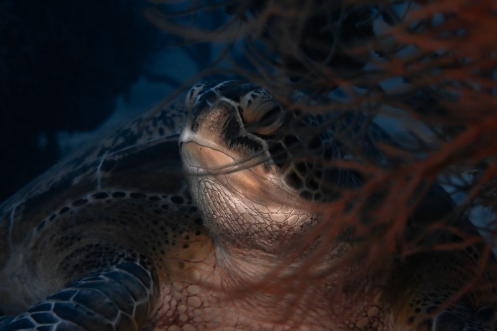 Photograph by JUAN M GUZMÁN