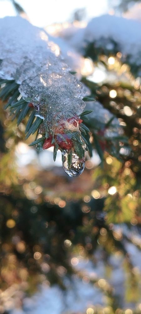 Photograph by Любовь Макарова