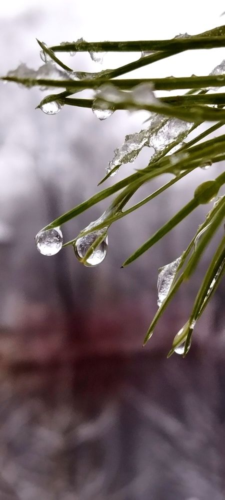 Photograph by Любовь Макарова