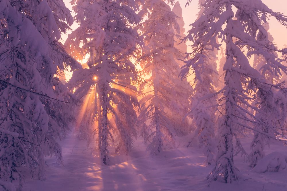 Photograph by Ольга Мусиенко